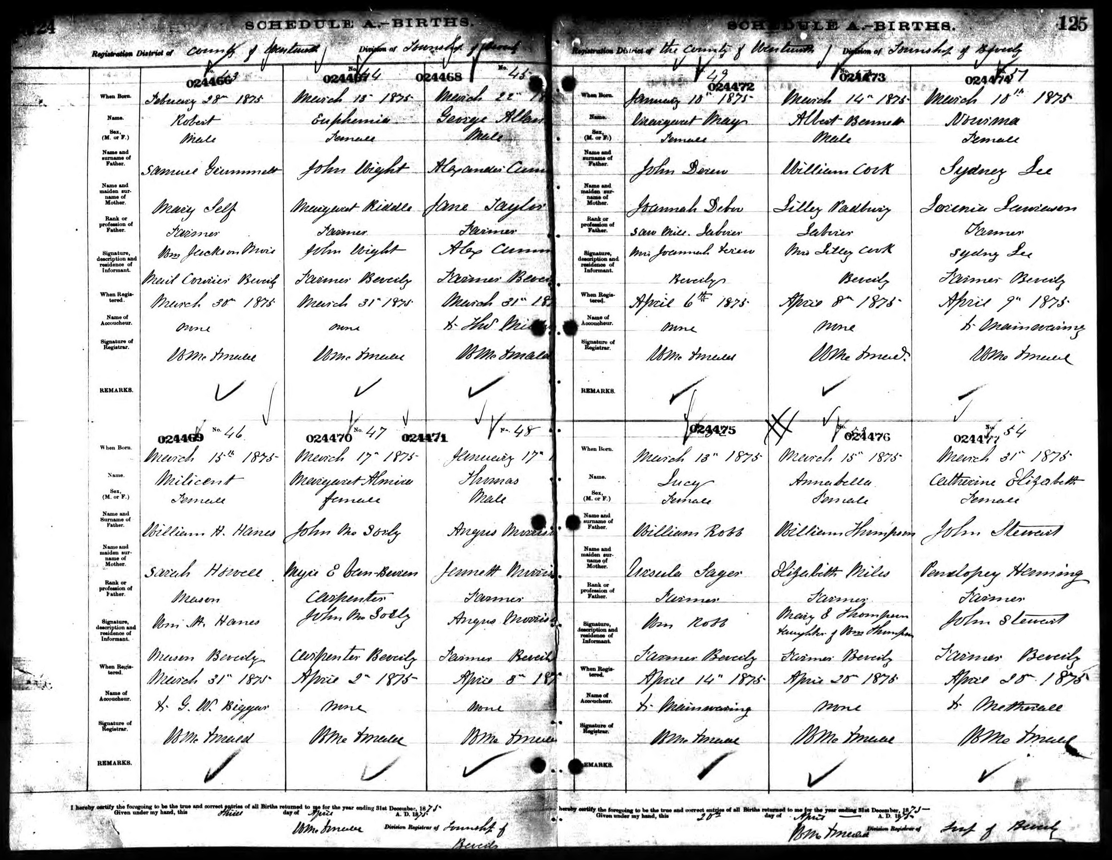 Catherine Elizabeth Stewart birth record in Beverly (10047 KB) 1875 Catherine Elizabeth Stewart, b. 31 March 1875 in Beverly, daughter of John Stewart and Penelopey Henning; Births in Puslinch Division, Wellington County, Ontario, Canada; Archives of Ontario, Series MS929, Reel 22. (Click on Picture to View Full Size) picture