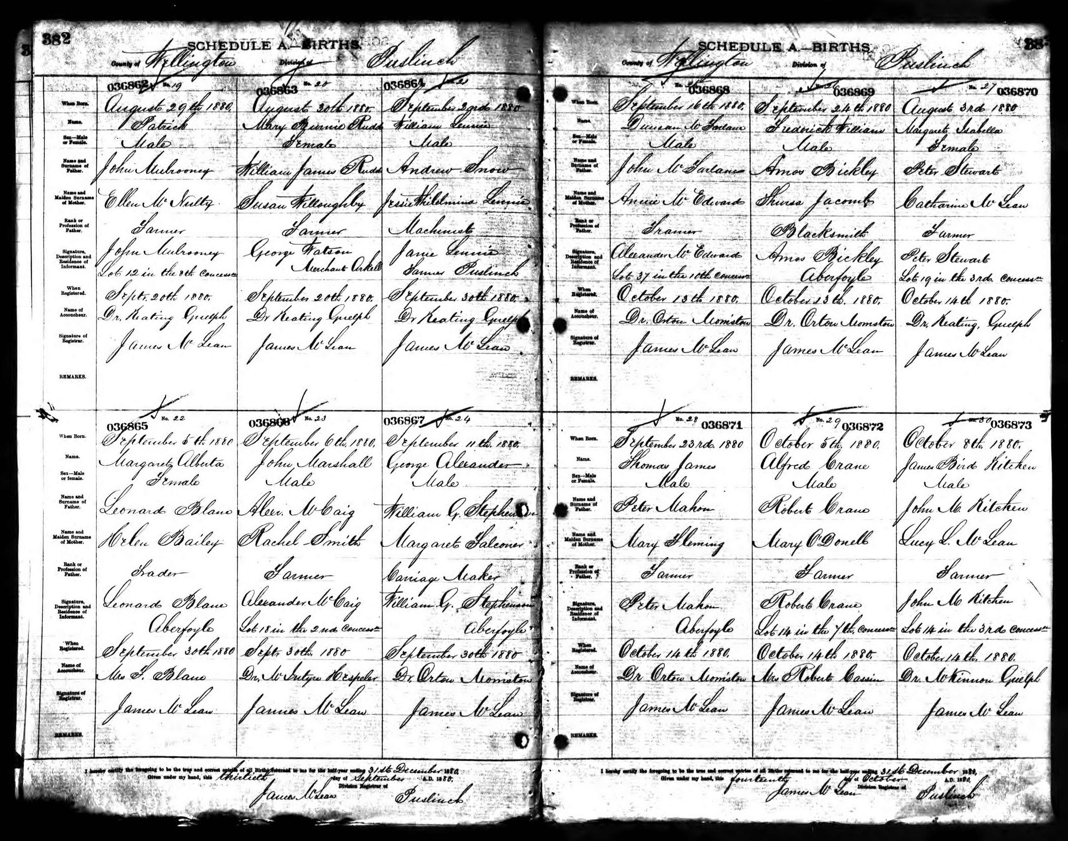 Margaret Isabella Stewart birth record in Puslinch (10458 KB) 1880 Margaret Isabella Stewart, b. 3 Aug 1880 in Puslinch, daughter of Peter Stewart and Catharine McLean; Births in Puslinch Division, Wellington County, Ontario, Canada; Archives of Ontario, Series MS929, Reel 46. (Click on Picture to View Full Size) picture