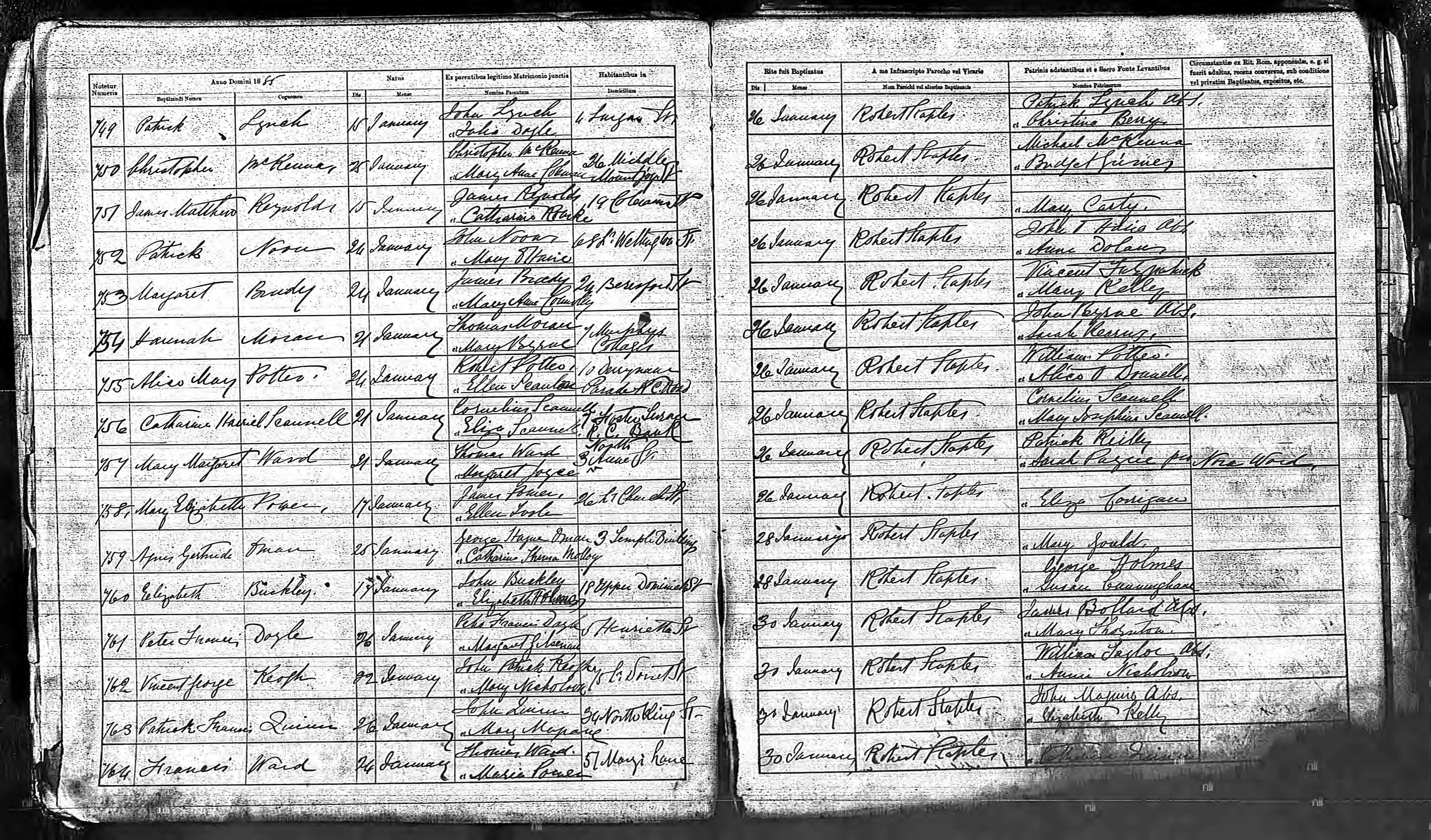Patrick Lynch birth record at St. Michan's, Dublin (18241 KB) 1885 Patrick Lynch, born 15 Jan 1885, baptized 26 Jan 1885, son of John Lynch and Julia Doyle; Catholic Parish Registers, National Library of Ireland, Ireland. Published under the National Library of Ireland's Terms of Use of Material made available on registers.nli.ie. (Click on Picture to View Full Size) picture
