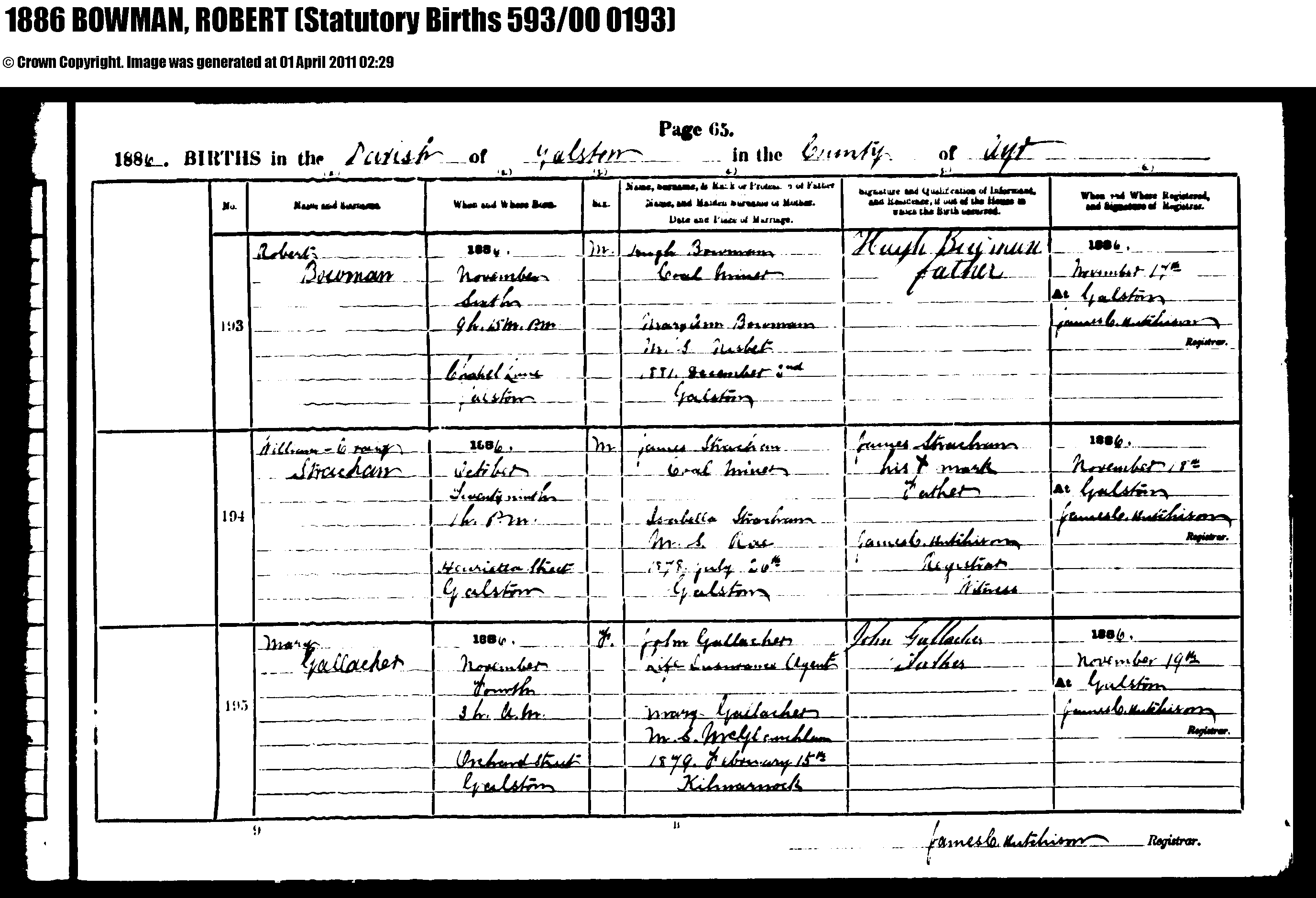 Robert Bowman birth certificate (15141 KB) 1886 1886 BIRTHS in the Parish of Galston in the County of Ayr, Scotland; Robert Bowman, b. 6 Nov 1886, son of Hugh Bowman and MaryAnn Nisbet (Click on Picture to View Full Size) picture