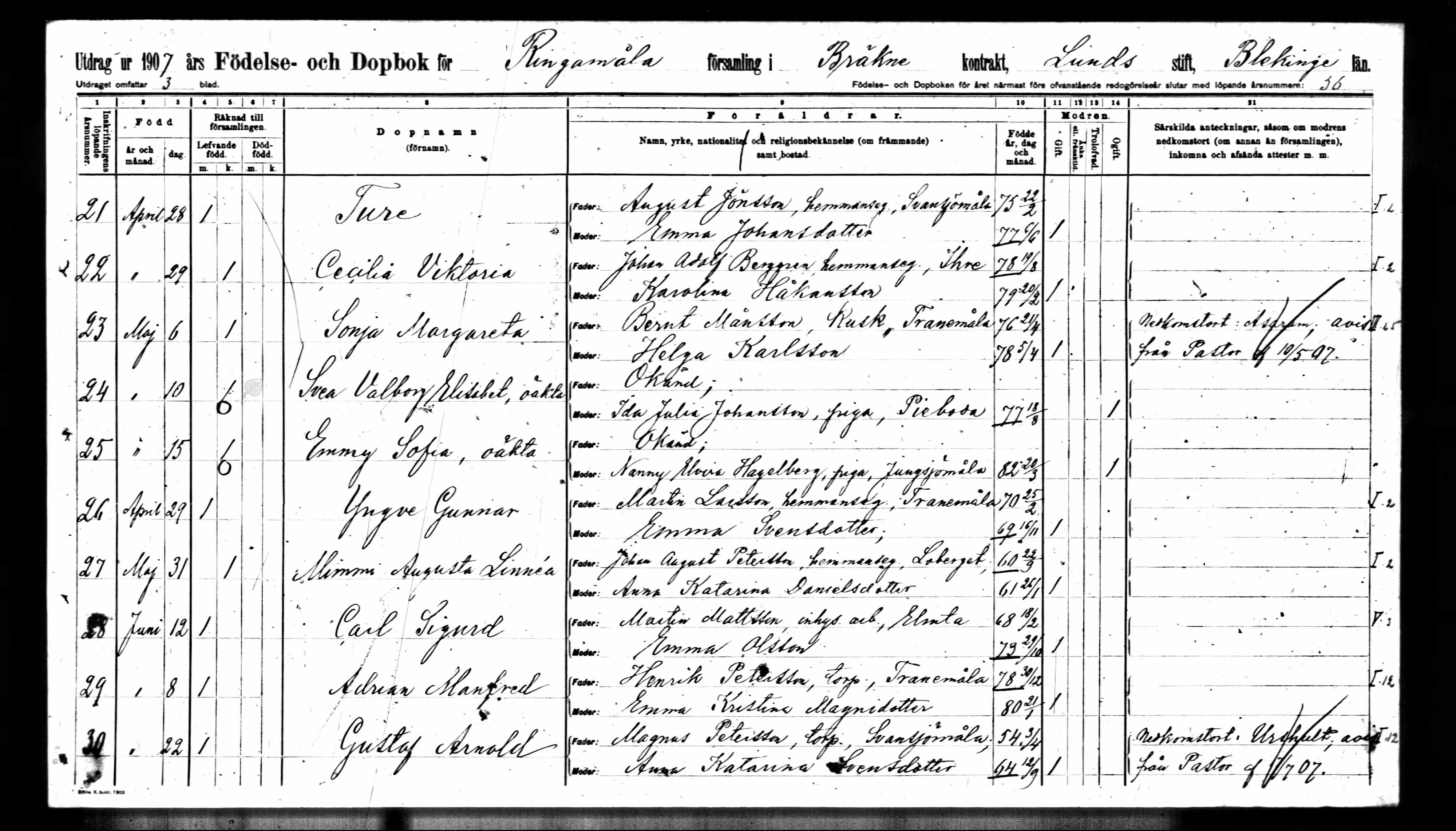 Adrian Manfred Petersson birth record (8921 KB) 1907 Adrian Manfred, son of Henrik Petersson and Emma Kristina Magnidotter, born 8 jun 1907 in Ringamåla parish, Blekinge lån, Sverige (Sweden) (Click on Picture to View Full Size) picture