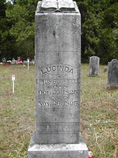 Lucinda (Rice) Bushnell gravestone from Tenmile Cemetery (900 KB) Photo from FindAGrave; Added by: Ida Baker (inactive), 10/19/2004 (Click on Picture to View Full Size) picture