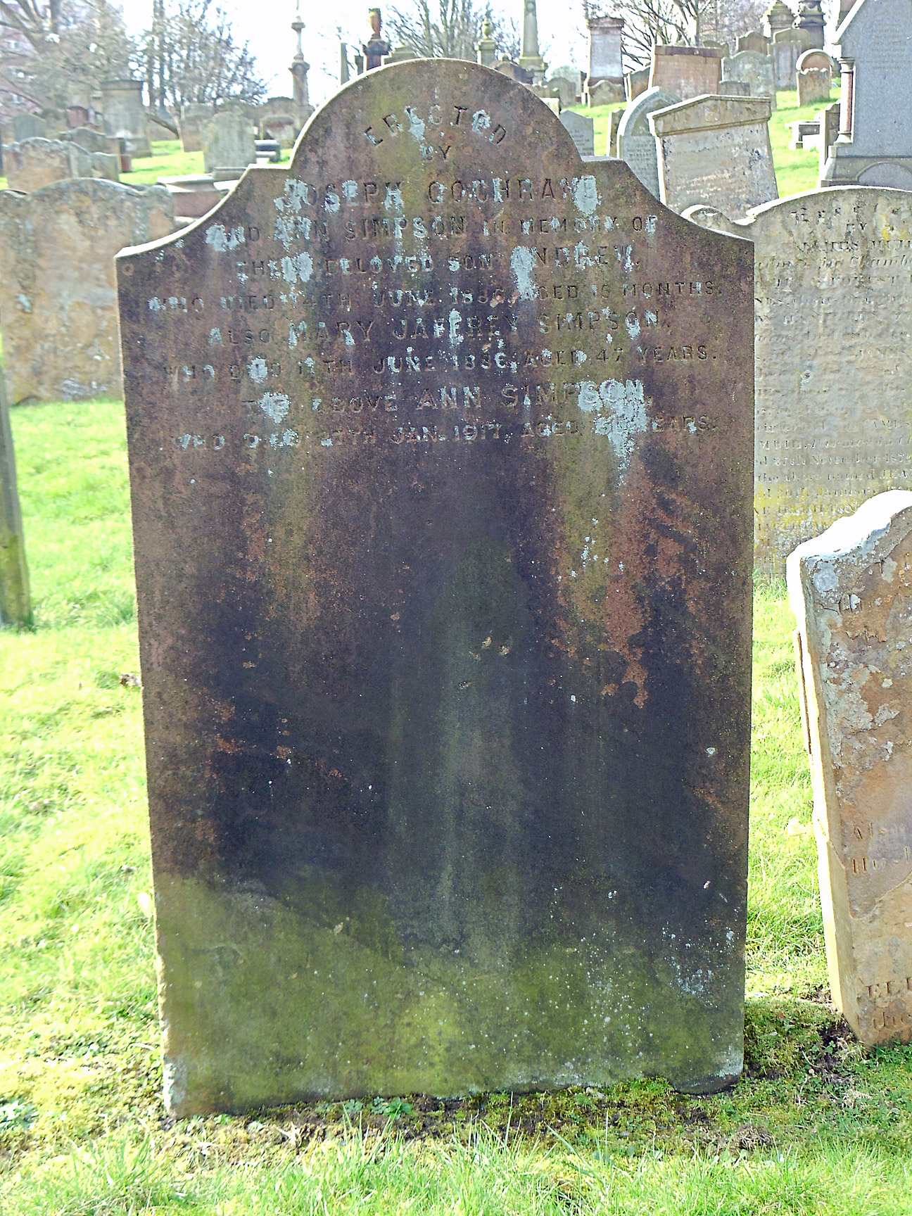 Gravestone for Andrew Cochrane, Mary (Jaffrey) Simpson, and Ann (Simpson) Cochrane (6561 KB) 19 March 2015 Gravestone for Andrew Cochrane, Mary (Jaffrey) Simpson, and Ann (Simpson) Cochrane, Irvine Old Parish Churchyard, Irvine, North Ayrshire, Scotland. Photo taken 19 March 2015 by William Kerr; used by permission. For other Irvine Churchyard inquiries, please contact local historian William Kerr (bkstinan@msn.com), founder of the Irvine Kirkyard Preservation Group. (Click on Picture to View Full Size) picture