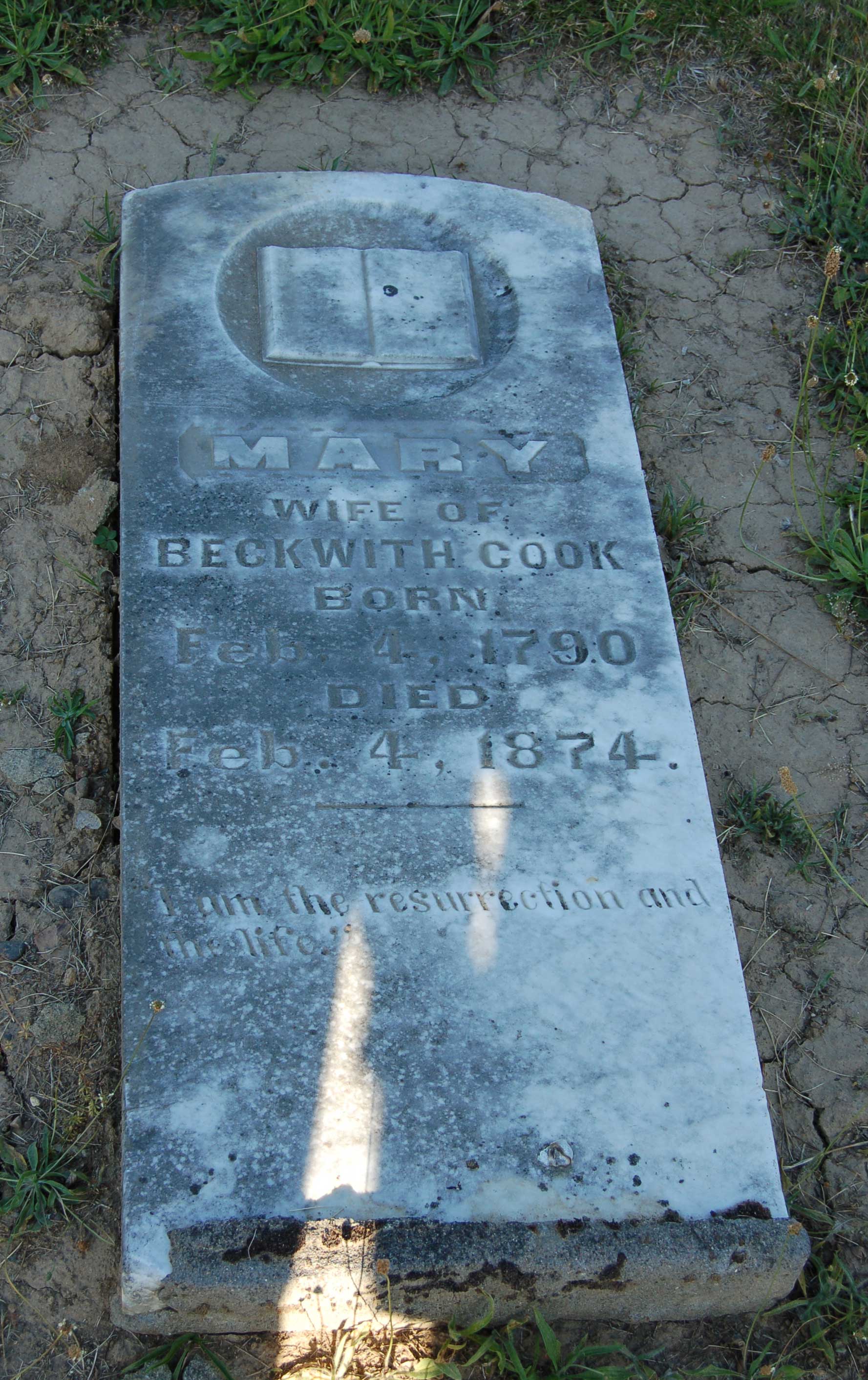 Mary 'Polly' (Pettengell) Rice Cook tombstone (14704 KB) 9 July 2007 Buena Vista Cemetery, Buena Vista, Oregon. Photo taken by Kirsty Haining. (Click on Picture to View Full Size) picture