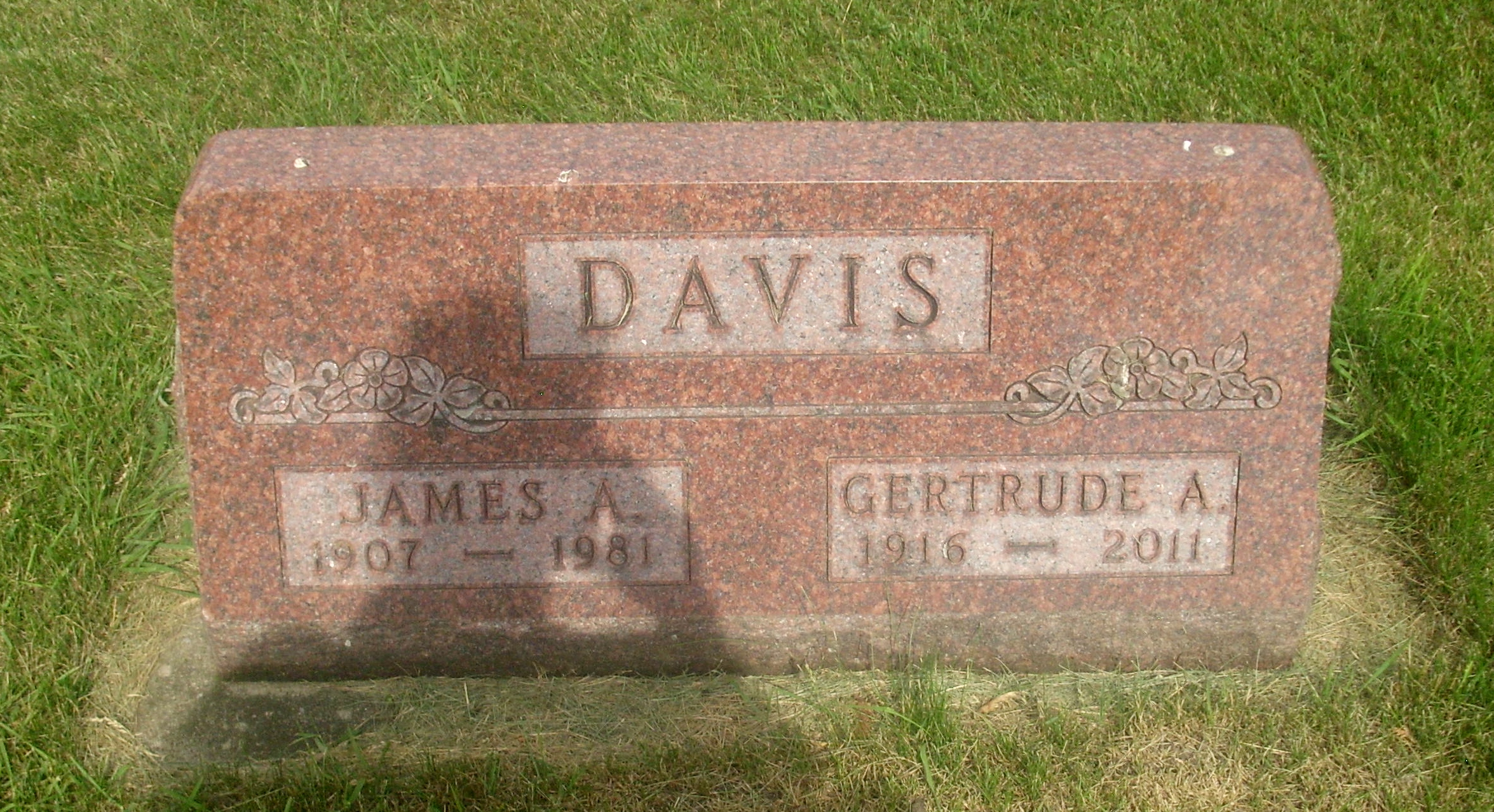 James and Gertrude Davis gravestone in Long Grove Cemetery (8813 KB) Photo from FindAGrave; Added by M Wolfe on 15 Jun 2014 (Click on Picture to View Full Size) picture
