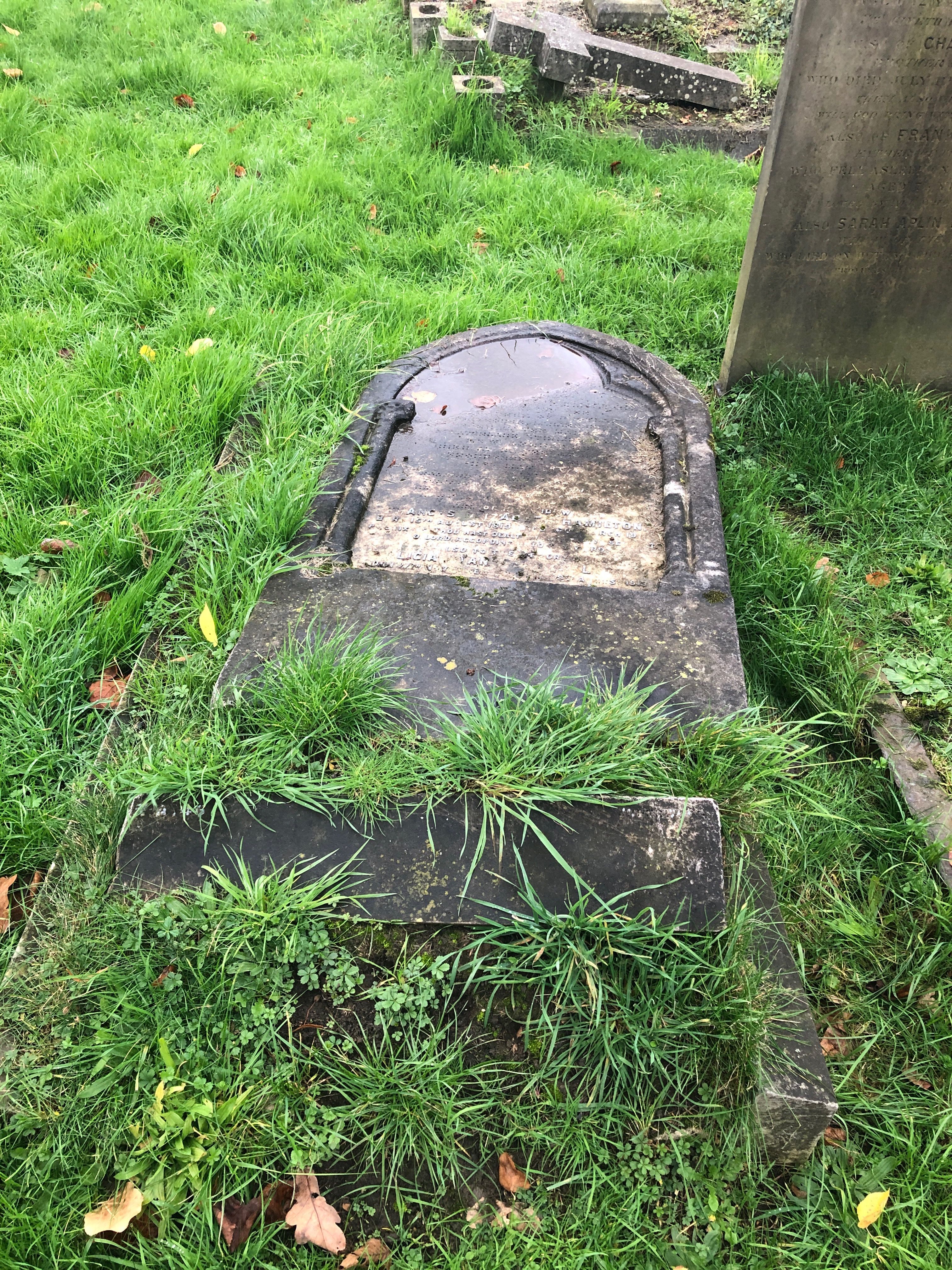 Alicia Stansfeld Giblett gravestone in Hampstead Cemetery, London (35721 KB) 25 October 2019 Gravestone for William King Hamilton, wife Frances Elizabeth Hamilton, and Frances' sister Alicia Stansfeld Giblett in Hampstead Cemetery, London. Photo from FindAGrave; Added by D (FindAGrave member #48718116) on 25 Oct 2019. Photo used by permission. (Click on Picture to View Full Size) picture