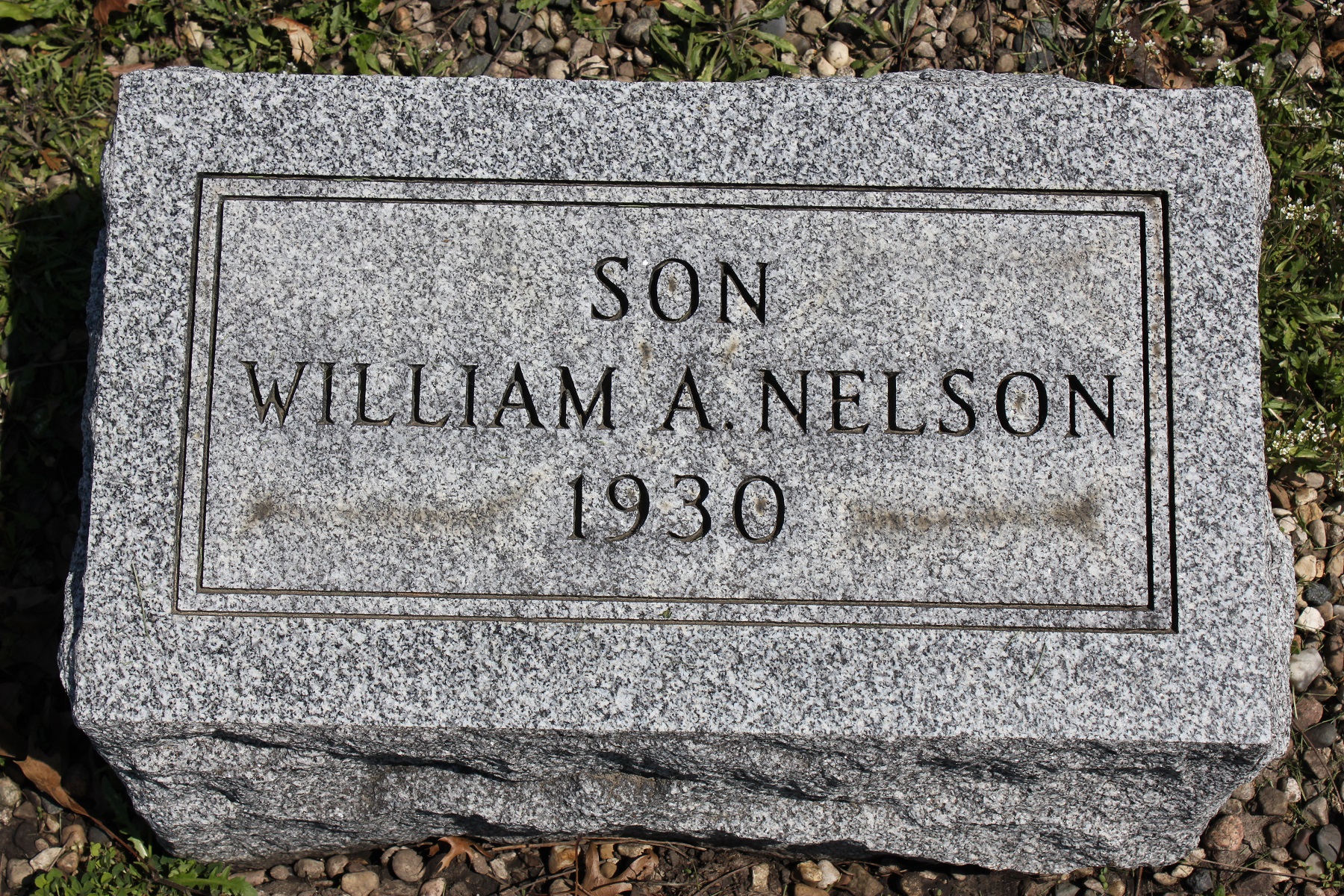 William A. Nelson gravestone in the GAR Cemetery in Homer, Illinois (6328 KB) Photo from FindAGrave; Added by: Becci Powers, 4/23/2013 Note that the 1930 death year carved on the gravestone is in error; William Arthur Nelson was was actually stillborn in 1931. (Click on Picture to View Full Size) picture