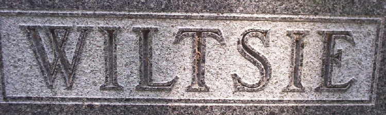 Detail on Wiltsie family gravestone in Onalaska City Cemetery (495 KB) Photo courtesy of La Crosse Area Genealogical Society (http://www.rootsweb.ancestry.com/~wilacgs/CemeteryPictures/OnalaskaCem/Wiltsie.JPG). (Click on Picture to View Full Size) picture